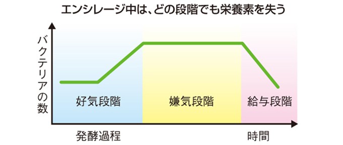 サイレージ発酵の 4つの段階