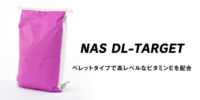 NAS-DL-TARGET