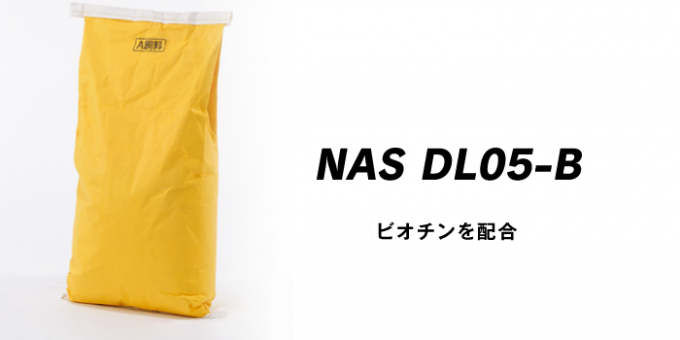 NAS-DL05-B