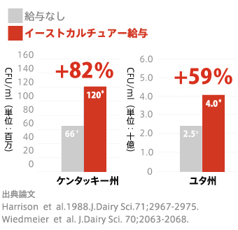 グラフ1