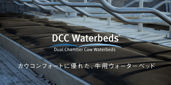 DCCウォーターベッド