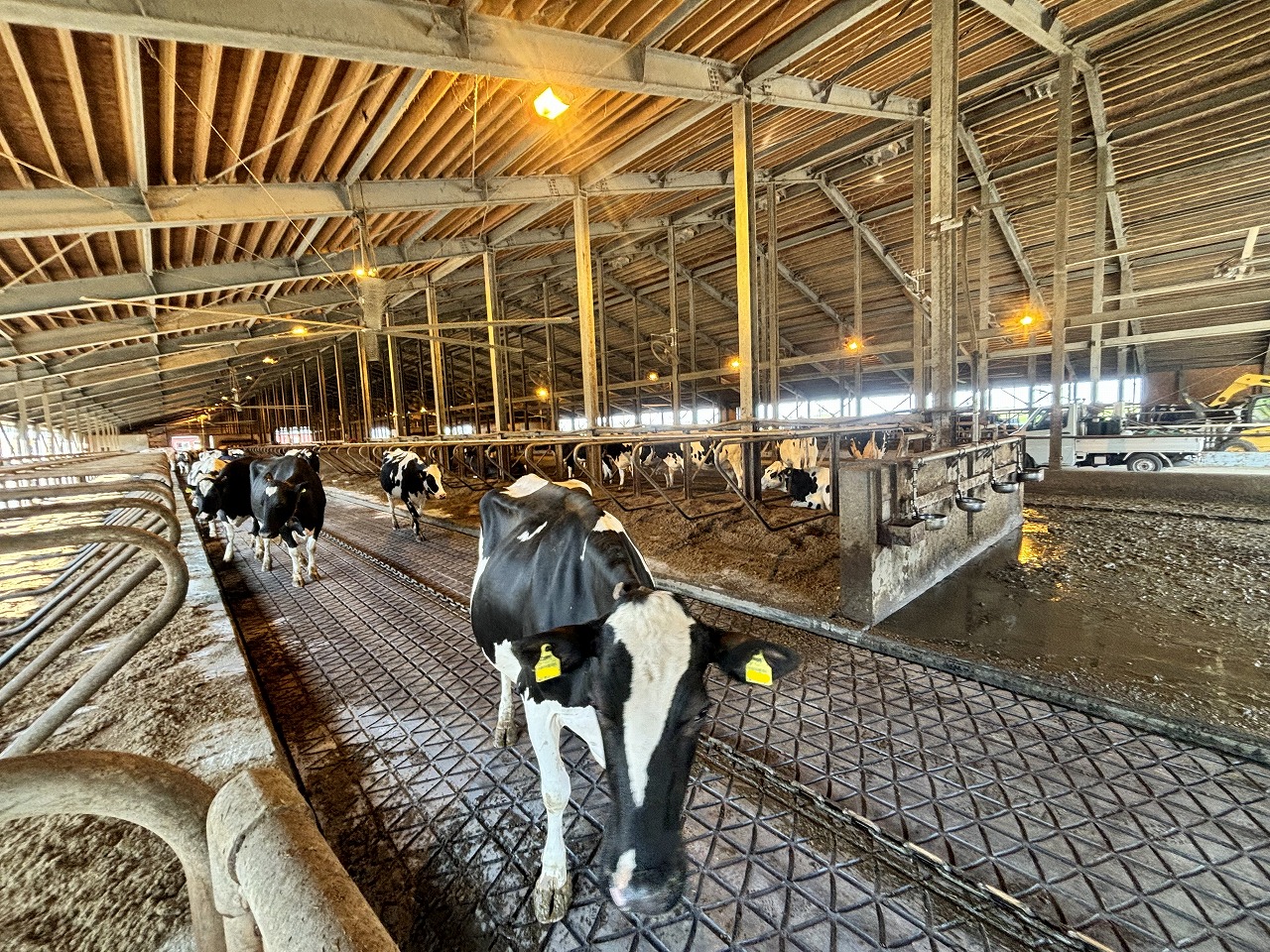 製品レポート | ナスアグリサービス